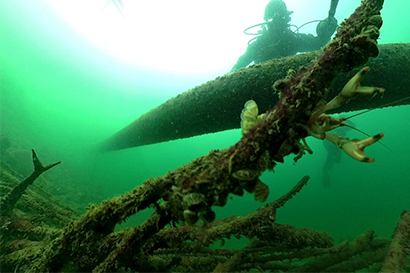 Lake Grabbing con Proteus e Insubria