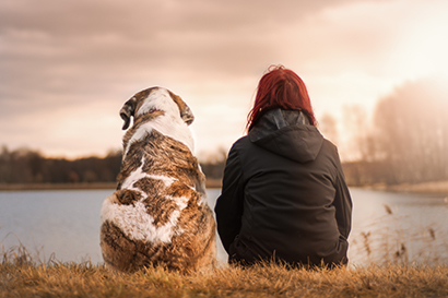 Protezione e rispetto degli animali