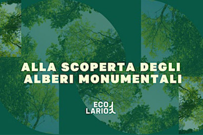 Alla scoperta degli Alberi Monumentali