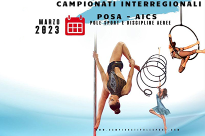 Pole sport e discipline aeree