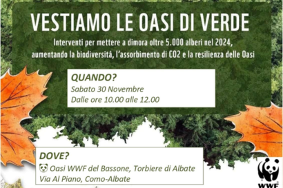 Vestiamo le oasi di verde