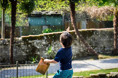 Oltre l’albero: Teatro nel Parco
