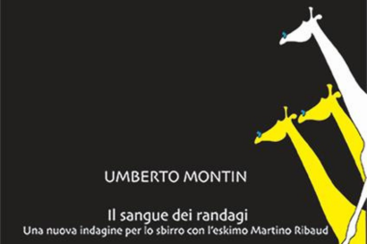 Il sangue dei randagi