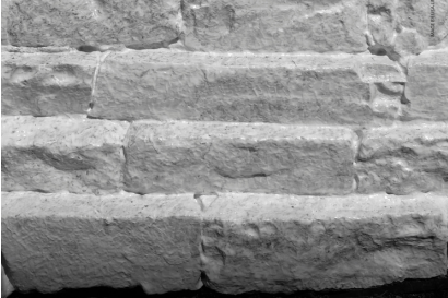 Visita guidata alla mostra Skin_Roman Walls 