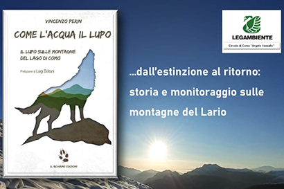 Come l'acqua il lupo