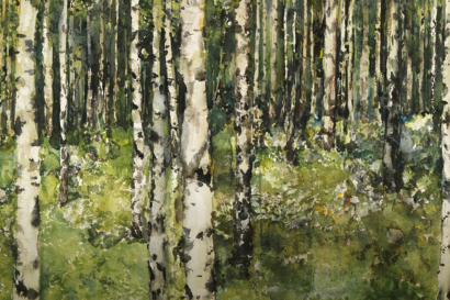 Nei boschi del Nord  