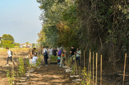 Messa a dimora di 100 alberi nel Parco Regionale Spina verde