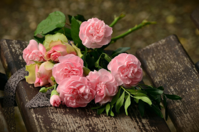Distribuzione roselline