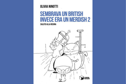 Sembrava un British invece era un Merdish 2