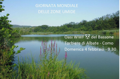 Escursione guidata all'Oasi WWF del Bassone
