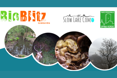 Bioblitz 2025