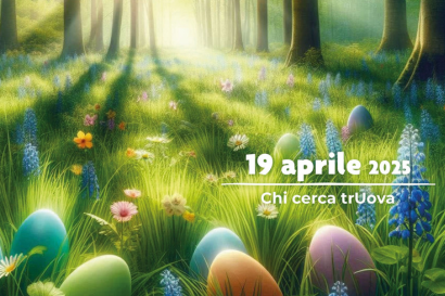 Chi cerca trUova