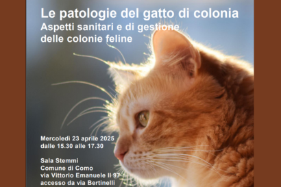 Le patologie del gatto di colonia. Aspetti sanitari e di gestione delle colonie feline