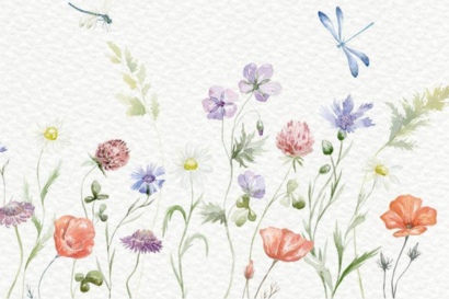 Giugno in fiore
