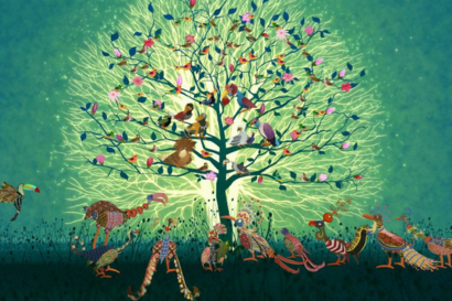 Metamorphosis