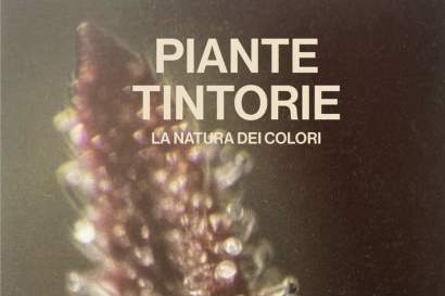 Piante tintorie. La natura dei colori