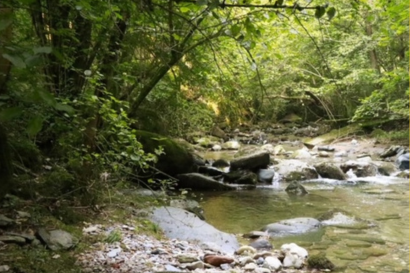 La valle del Cosia 
