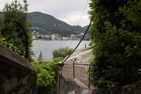nosetta-600x400