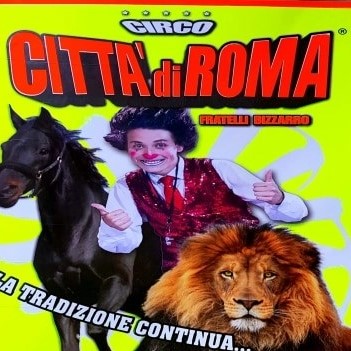 Il Circo delle feste di Natale 