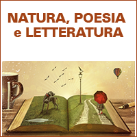 Tour virtuali e letture