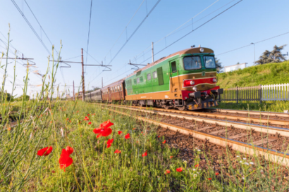 Lario Express