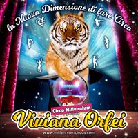 Il Circo delle feste di Natale
