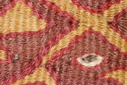 Archivio aperto: tessuti precolombiani e coloranti naturali